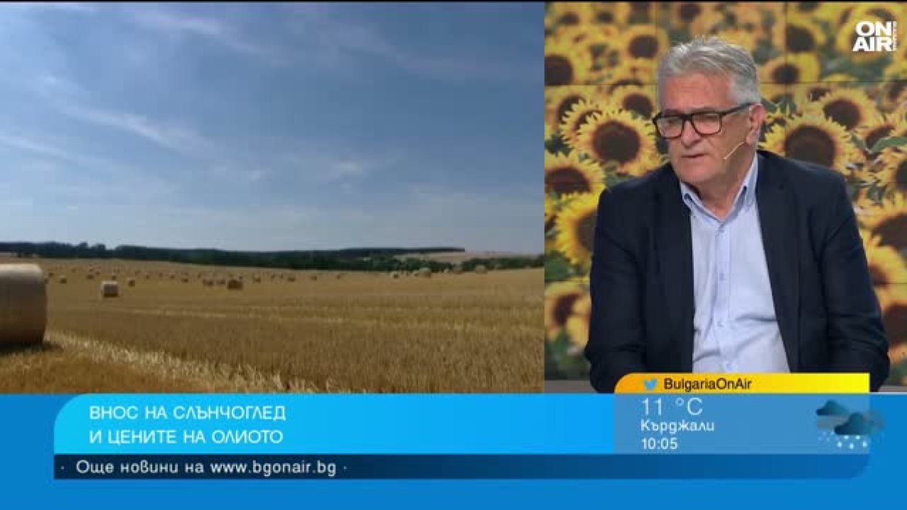 Рекордна реколта от слънчоглед и рапица отчитат производителите