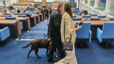 Задава се драма и скандали: Опитва ли "Прогресивна България" да ограничи опозицията?  
