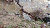 Спасиха 17-годишно момче, попаднало във водата в Търново 