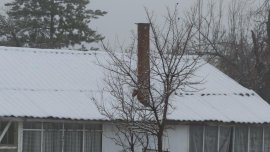 Сняг в Перник и Радомир, студ застрашава овошките СНИМКИ/ВИДЕО