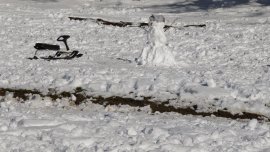 Ски курортите в Алпите са сред най-застрашени от затоплянето