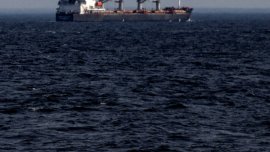 Риба балон – нов опасен хищник в Черно море