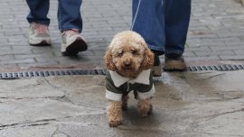 Облачно време в сряда, в следобедните часове ще превали