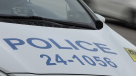 Неизвестен застреля куче в село край Симитли