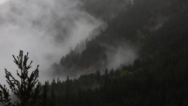 Времето днес: Облачно и ветровито