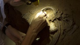 Откриха нови доказателства за селективен канибализъм сред неандерталците в Европа 