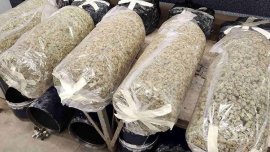 Иззеха над 10 кг марихуана при спецакция в Благоевградско