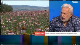 Около 70-80% от българските билки се изнасят, берачите у нас не достигат
