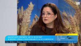 Сделката ЕС-Меркосур: Трети страни отнемат пазара на родните фермери