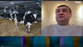 Млекопреработвателите на ръба за сметка на мляко с барут от Украйна