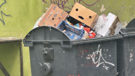 “Изгрев”, “Слатина” и “Подуяне” остават без сметоизвозване