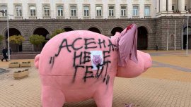 Депутат от ДПС-НН нашари със спрей прасето касичка, окичи го с розов пеньоар ВИДЕО