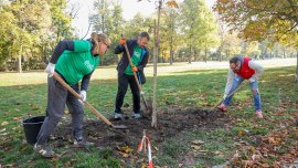 Кока-Кола ХБК отбелязва 60 години Кока-Кола в България със засаждане на 60 дървета в сърцето на София