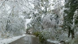 Времето днес: Студ, минусови температури и вятър