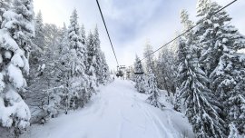 След падналия сняг: Закъсали коли и камион в Пампорово ВИДЕО