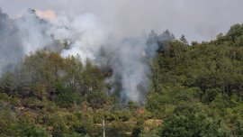Пожарът в Природен парк „Рилски манастир“ се е възобновил