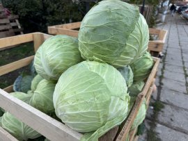 Годишната инфлация достигна 5,1% през август