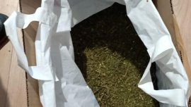 Иззеха над 30 кг марихуана при спецоперация в Стара Загора