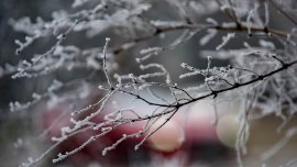 Времето утре: Градусите леко се качват, но се задава и сняг