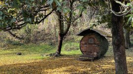 Сутрешни мъгли ни чакат във вторник, времето през деня – тихо и приятно