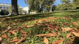 Времето ще е слънчево над по-голямата част от страната 