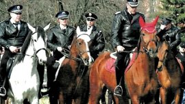 Пенсионират 11 коня от ескадрона на СДВР, продават ги на търг