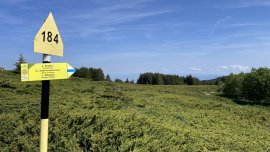 МОСВ прекрати процедурата по разработване на Актуализация на парк "Витоша"