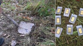 Mъж откри златни кюлчета, докато коси тревата в двора си 