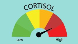 Бързи трикове за намаляване на кортизола