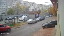 Умишшлено ли македонски лекар  прегази куче в кв. "Разсадника"? 