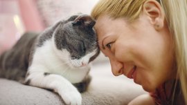 Зодиите, които имат специална връзка със животните