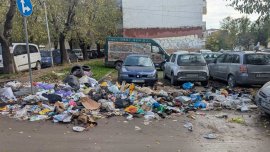 Сметище във Варна: Миризмата е нетърпима, гларуси и кучета разнасят боклука