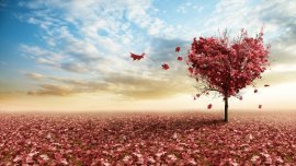 Венера влезе в Скорпион, какво чака зодиите?