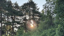 Седмицата стартира със слънчево и горещо време