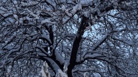 Времето днес: Мразовита сутрин, през деня ще се затопли