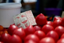В кадър: Какви са цените на Женския пазар в София?