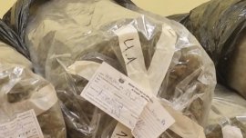 Откриха 8 кг марихуана и кокаин в блок в Бургас