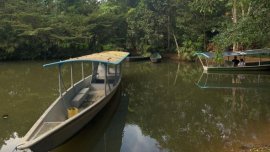 Зловещо: Намериха човешки глави на плаж и послание