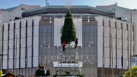 Огромна коледна елха се появи пред НДК СНИМКИ