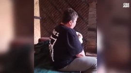 Потресаващо: Сигнали за блудство с кучета втрещиха Казанлък