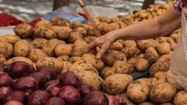 Турция замени Иран в снабдяването на Русия със зеленчуци и плодове