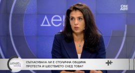 Григорова: Ако излезе на политическата сцена, хората ще припознаят Радев