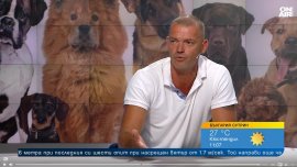 Треньор на кучета: Нужна е социализация на животното от ранна възраст