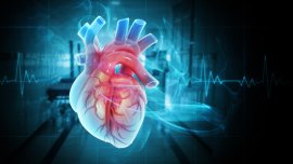 Кардиолог съветва какво да избягваме за здраво сърце