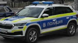 Арест за двама мъже за смъртта на кучета в Пернишко