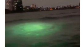 Та са толкова бързи, че не можете да измерите скоростта им: НЛО във водите край САЩ?