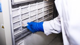 Свръхпреработените храни може да влошат концентрацията и повишат риска от деменция