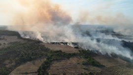 Пожар край Боаза обхвана около 15 декара сухи треви и храсти