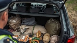 БАБХ: Не внасяйте храни от животински произход през границите