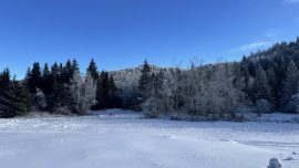 Леден старт на седмицата, очаква ни до -12 в понеделник